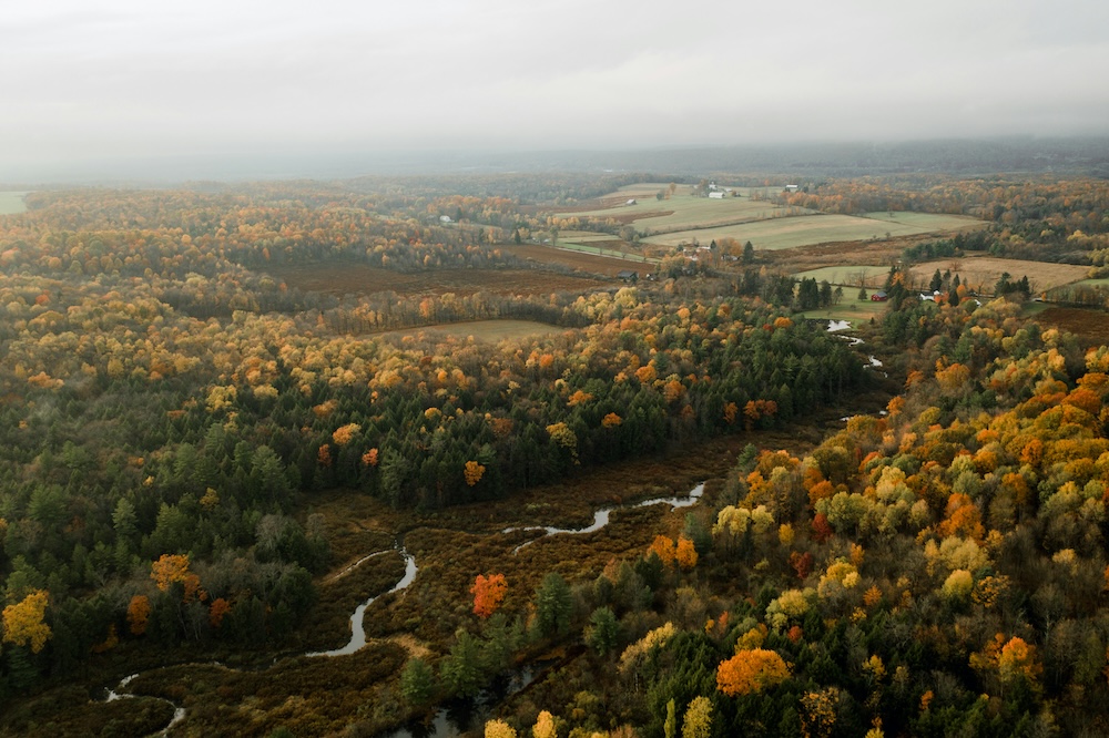 best car insurance in pa - the kind insurance - rolling hills